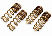 Tein 96-00 Civic H Tech Lowering Springs